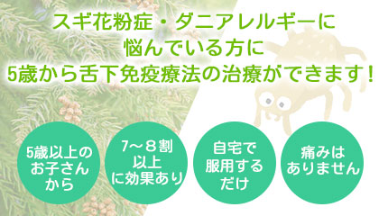 スギ花粉症・ダニアレルギーに悩んでいる方に5歳から舌下免疫療法の治療ができます！5歳以上のお子さんから・7～８割以上に効果あり・自宅で服用するだけ・痛みはありません